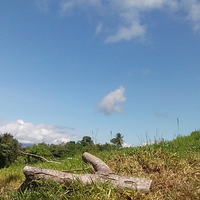 Timeline: Avances y desarrollo del la sostenibilidad en el tiempo.