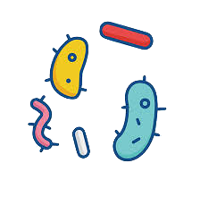 Timeline: Historical Figures and Discoveries Leading to the Germ Theory of Disease