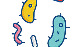 Timeline: Historical Figures and Discoveries Leading to the Germ Theory of Disease