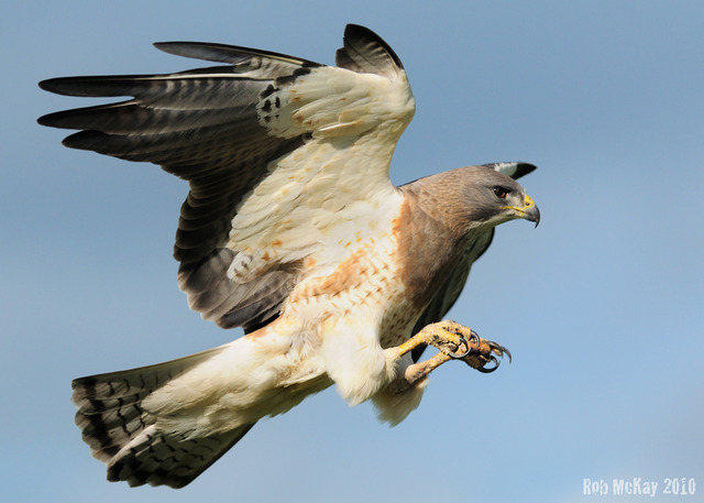 Split in public on war opinion