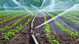 Timeline: HISTORIA DEL SISTEMA DE RIEGOS