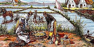 sistema de riego por indundacion, antigua china