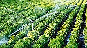 Sistema de riego por aspersión