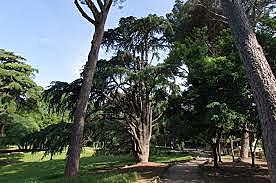 Fine della civiltà dei Fenici