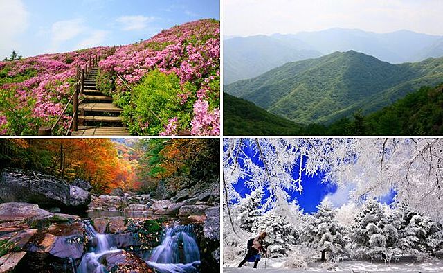 Se iniciaron los recorridos turísticos