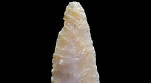 PUNTA DE HOJA DE LAUREL