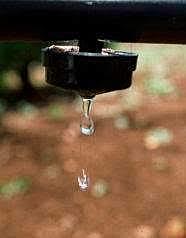 1959, Riego por goteo