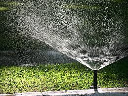 Año 2000d.C riego por microaspersión