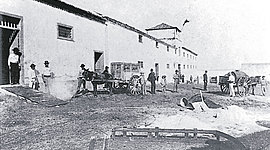 Timeline: Enfermedades en la historia de Canarias