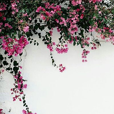 Timeline: linea del tiempo-juan sebastian tible ramirez-8-A