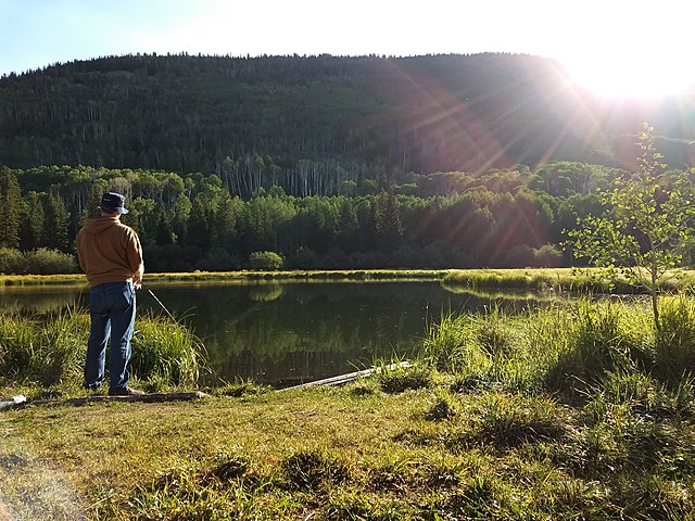 Camping with Spencer