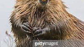 Timeline: My daily routine