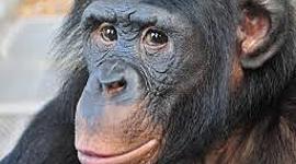 Timeline: My daily routine