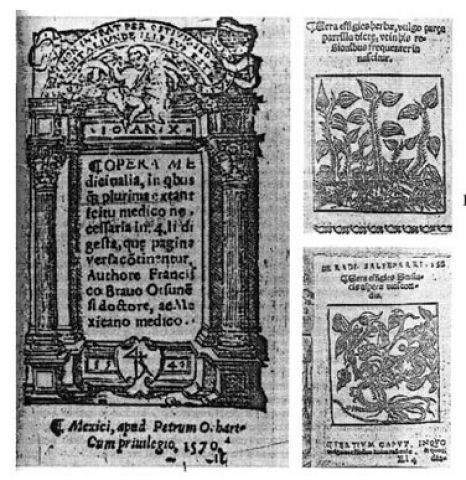 1º Libro de autor mexicano