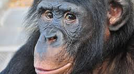 Timeline: My daily routine