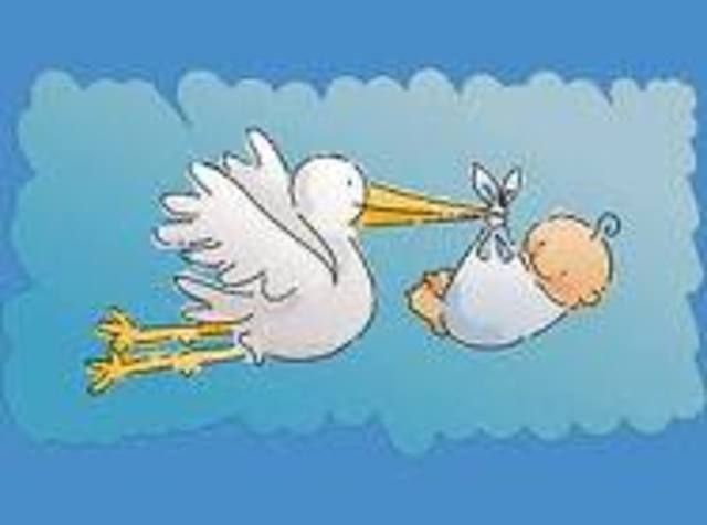 Alan's Birth The Baby Cousin