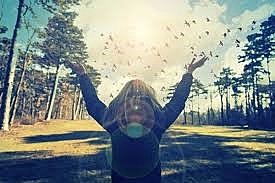 •	El Renacimiento Español