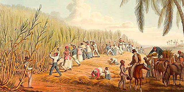 Durante la Colonia (1765 y 1805)