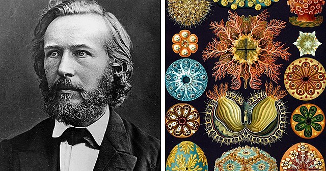 Ernst Haeckel