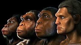 Timeline: ORIGEN DEL SER HUMANO