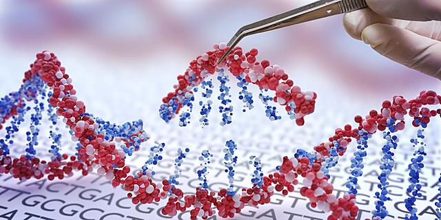 Descubrimiento del ADN como material sintetizado