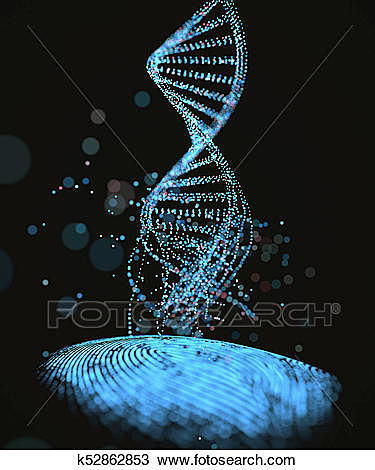 Descubrimiento del código genético