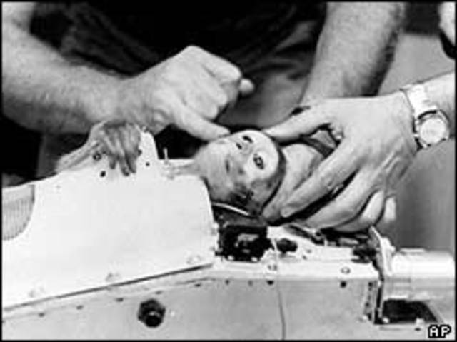 Monkey lost after space flight