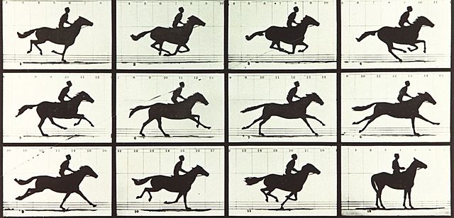 first horse stop motion