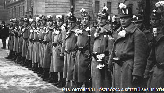 Őszirózsás forradalom kirobbanása