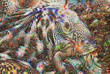DeepDream