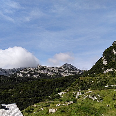 Timeline: Poletne počitnice