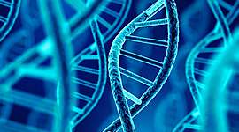 Timeline: Histoire de la génétique