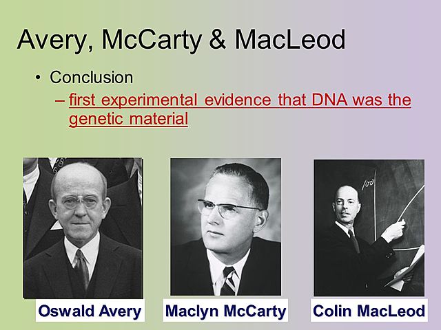 Se demuestra de que la información hereditaria (es decir los genes) se encontraba en los ácidos nucleicos