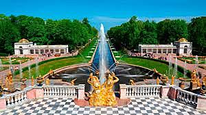 Поселение Петергоф