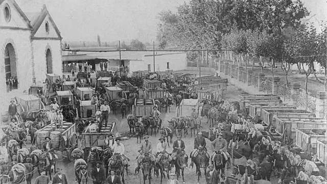 1869 - 1976 INMIGRACIÓN DE MENDOZA