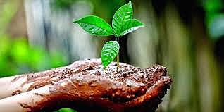 Conferencia Internacional de Ministros del Ambiente sobre Biodiversidad y Turismo