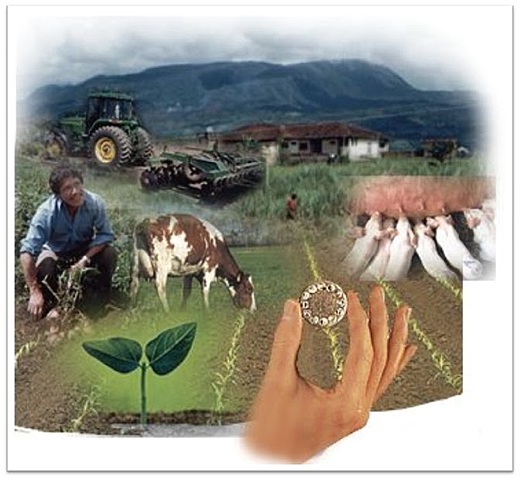 DESARROLLO AGROPECUARIO