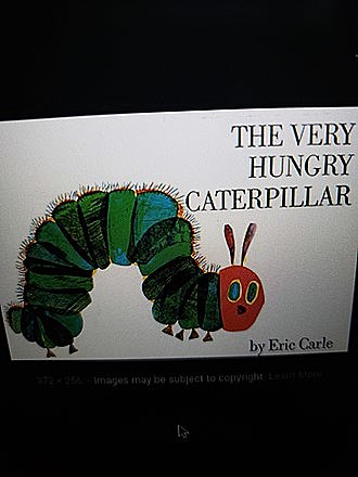The Very Hungry Caterpillar (Book)