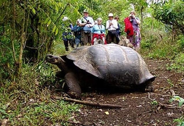 Declaracion de galapagos , cumbre de autoridades turisticas de ambiente de iberoamerica y el caribe