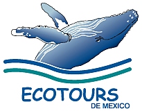 Operadora de Viajes ECOTOURS