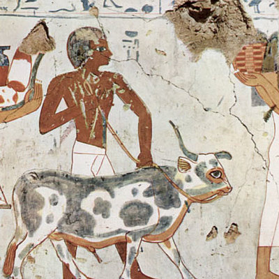 Timeline: historia de los impuestos en Colombia y los elementos de la obligación tributaria.