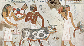 Timeline: historia de los impuestos en Colombia y los elementos de la obligación tributaria.