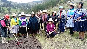 Algunas formas asociativas fueron.