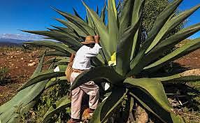 Bienestar de las comunidades locales