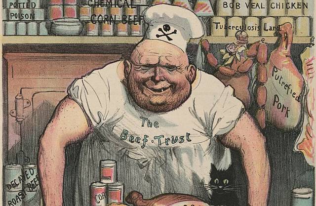 Meat Inspection Act and Pure Food and Drug Act