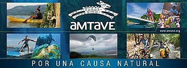 AMTAVE