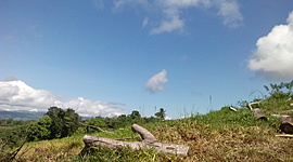 Timeline: Avances y desarrollo del la sostenibilidad en el tiempo.