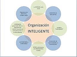 organizaciones inteligentes