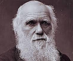 CHARLES DARWIN (1809 1882)