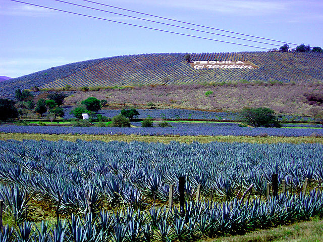 SECTUR firmo con los titulares de 4 secretarias y de la comisión para el desarrollo de los pueblos indigenas